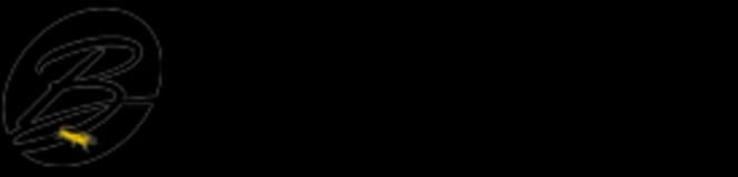 Bingkai Warta logo
